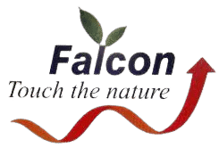 Falcon Medicine | Hurbal