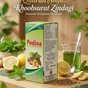 Podina – Ginger Lemon Kalonji Tonic for Wellness (240ml)